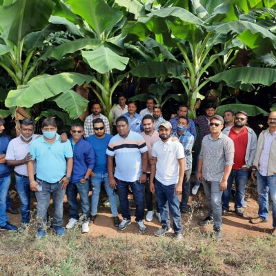 Working with banana farmers group from plantation to the harvest to boost the income