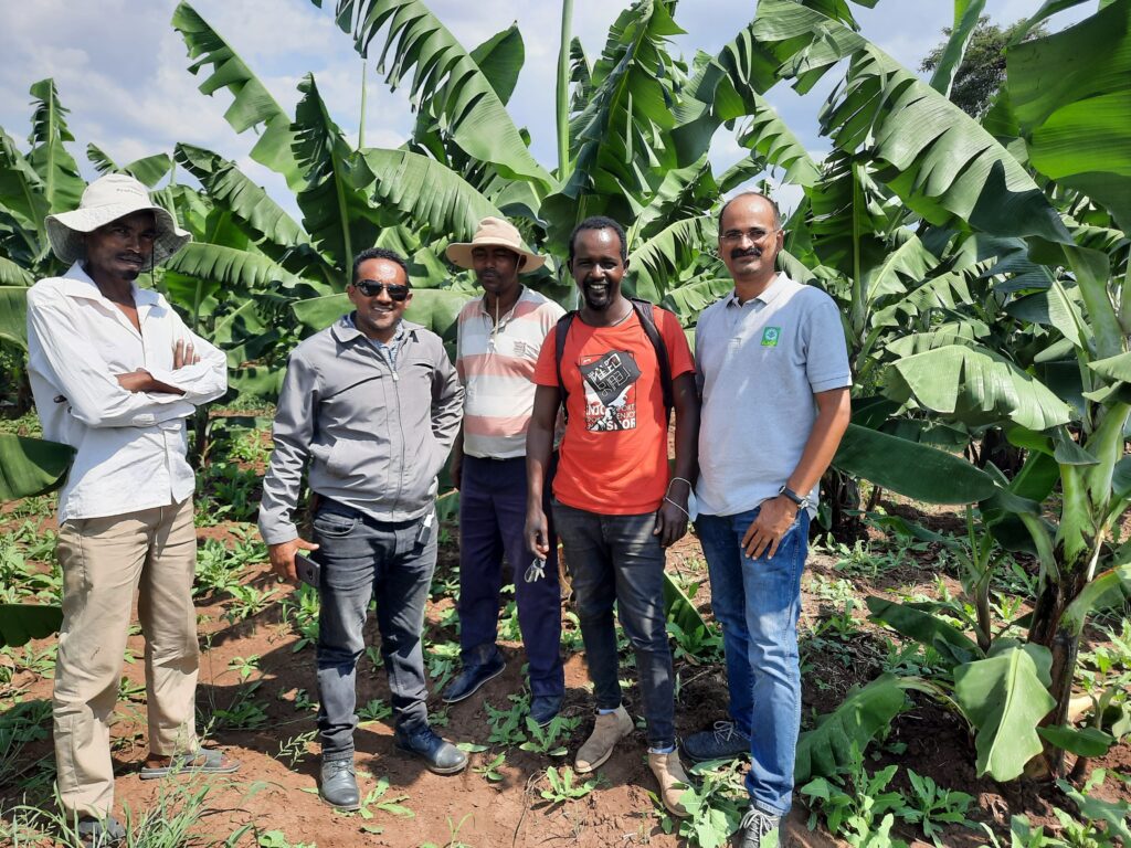 GLOBAL COLLABORATION FOR STREAMLINING PALM TRADER PERFORMANCE visual data 6