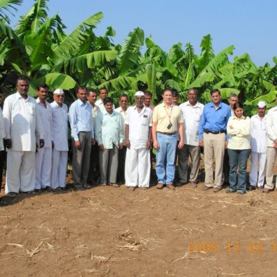 Banana fruit export from India